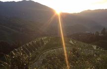 1-DAY Private Longji Rice Terraces and Minority Villages Tour