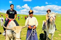 Mongolian Nomadic Showcase with A Day Trip into Traditional Life 
