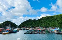 Experience the Sunset and Plankton Bioluminescent Night Kayak