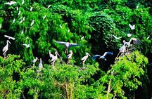 Nature Reserve and Largest, Authentic Floating Market Experiences
