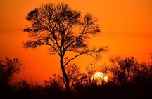 2 Day Kruger Safari from Johannesburg – Budget Fly in