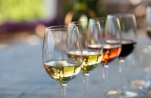 Wine tasting and picnic at the Bouquet d'Alella winery