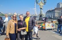 Westminster Highlights Black Cab Tour with Hotel Pick Up 