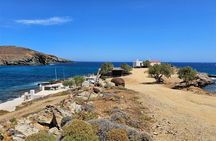Half-Day Private Tour: Discover Mykonos