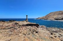 Mykonos Island Tours