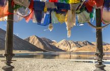 Pangong Lake Day tour from Leh