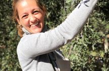 Classic Mendoza wineries with private lunch