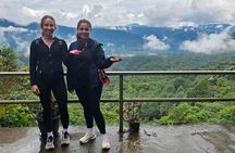Mindo Private Day Tour: Hummingbirds, Waterfalls, Jungle ...