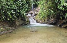 Mindo Cloud Forest Full Day (flexible itinerary)