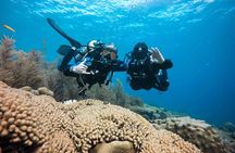 Discover Scuba Diving in Diver's Paradise!