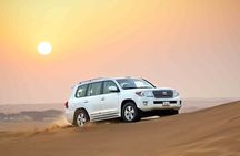 Morning Desert Safari with Sand Boarding and Dune bashing