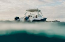 Private Half Day Eco Tour and Snorkeling Charter in the USVI