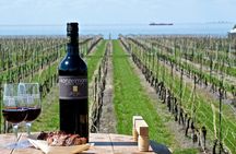 Private Niagara on the Lake Wine Tour with Dinner