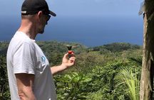 3 Hours Rainforest Walk in Tobago (Private) Lunch + Hummingbirds