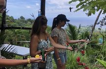 3 Hours Rainforest Walk in Tobago (Private) Lunch + Hummingbirds