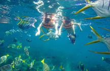 Snorkel and arch tour in los cabos