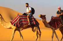 Dubai Premium Evening Desert Safari ATVs, Dinner & Shows