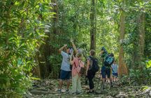 Carara National Park Guided Tour