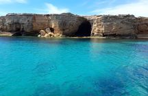 Ortigia-blue cave island tour with dolphin sighting