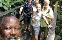 3 Hours Rainforest Group Walk with Lunch