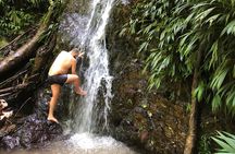 3 Hours Rainforest Group Walk with Lunch