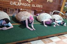 Ecuador essential : Andes, jungle of the Amazon and Galapagos