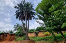 Aburi Botanic Gardens, Boti Falls,Umbrella Rock & Cocoa Farm Tour