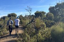 Flinders Chase Private Luxury Tour
