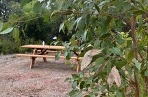 Flinders Chase Private Luxury Tour