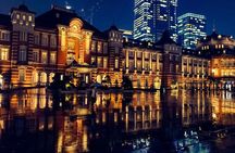 Tokyo Twilight Expedition Car Tour – Nighttime City Cruise!