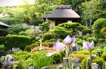 Kyoto Shogun Cycling Tour