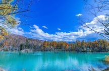 Sapporo: Flower Sea, Biei Blue Pond Tour /w Pickup and Lunch