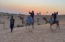 Premium Desert Safari Activities for Group and Family