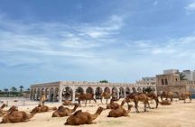 Doha Private Guided City Tour With Airport Transfer