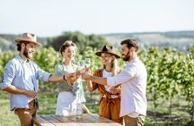 Private Day Trip to Petralona Cave and Afytos with Wine Tasting 
