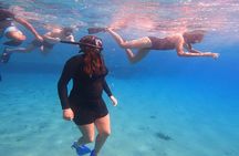 Private Snorkeling Adventure with Transportation 