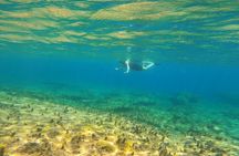 Private Snorkeling Adventure with Transportation 