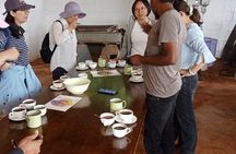 Kenyan Coffee Farm Tour