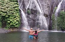 Banyumala Waterfall, Jatiluwih, Ulun Danu and Tanah Lot tours