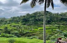 Banyumala Waterfall, Jatiluwih, Ulun Danu and Tanah Lot tours