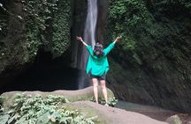 Banyumala Waterfall, Jatiluwih, Ulun Danu and Tanah Lot tours