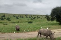 Wildlife safari at Nairobi National Park