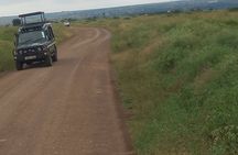 Wildlife safari at Nairobi National Park