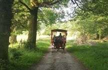 Classic Kerry Private Tour: Ring of Kerry Mountain Pass from Cork