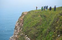 From Inverness: Whisky, Wildlife and Coasts Tour