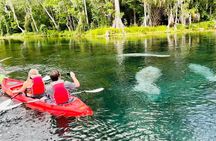 Manatees, Monkeys and Florida Natural Spring Adventure Tour 
