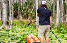 Manatees, Monkeys and Florida Natural Spring Adventure Tour 