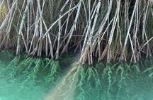 Beyond Bacalar: Pirate Route Exploration + River Float + Lunch