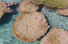 Scientific and Cultural Tour in Bacalar with an Expert