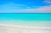 Amazing tour of Arraial do Cabo with lunch